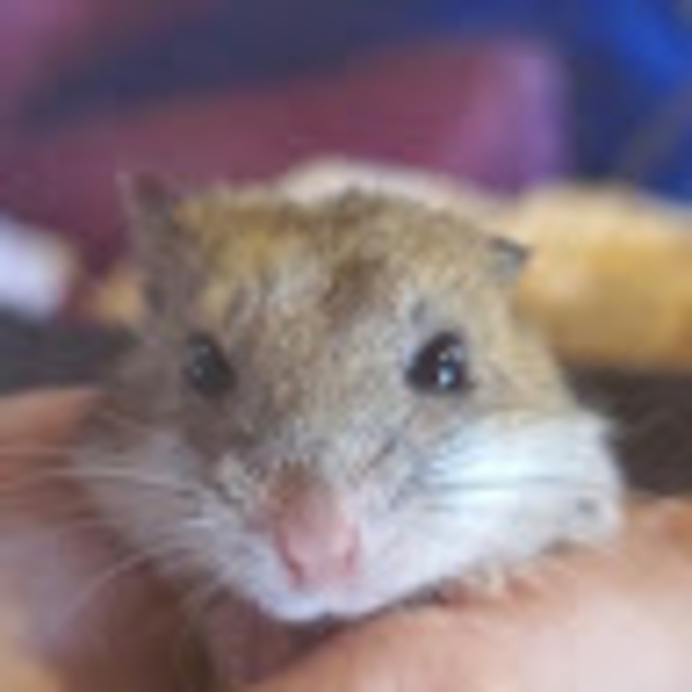 Meet your Posher, Bri